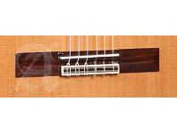 Alhambra 5P CW E8 incl. Gig Bag Alhambra 5P CW E8 incl. Gig Bag